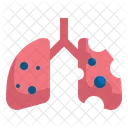 Lungcheck  Icon