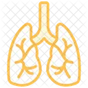 Lungs Duoton Liniensymbol Icon