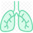 Lungs Duoton Liniensymbol Icon