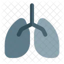 Lunge  Symbol