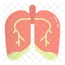 Lunge  Symbol