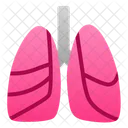 Lunge Mensch Organ Symbol