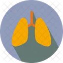 Lungs Heart Body Icon