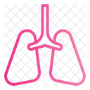 Lungs Organ Anatomy Icon