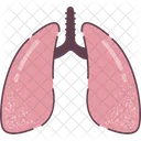 Lungs Organ Human Organs Icon