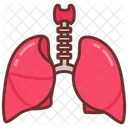 Lungs Respiratory Oxygenation Icon