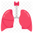 Lungs Respiratory Oxygenation Icon