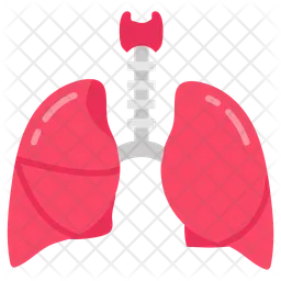 Lungs  Icon