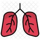 Lungs Organ Medical Icon