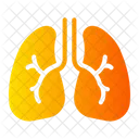 Lungs Internal Organ Icon