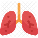 Lungs Healthcare And Medical Pulmonary Icon
