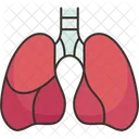 Lungs Respiratory Health Icon