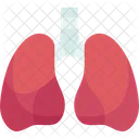 Lungs Respiratory Health Icon