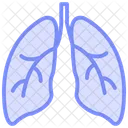 Lungs Color Outline Icon Icon