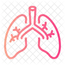 Lungs Pulmonary Body Organ Icon
