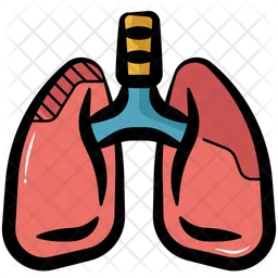 Lungs  Icon