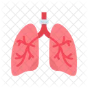 - lungs  Icon
