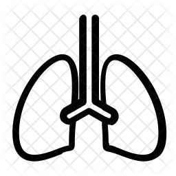 Lungs Icon