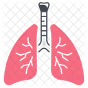 Lungs  アイコン