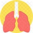 Lungs Anatomy Medicine Icon
