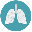 Lungs Human Organ Icon