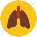 Lungs Anatomy Breathe Icon