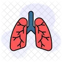 Lungs Organ Medical Icon