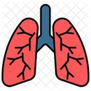 Lungs Organ Medical Icon