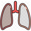 Lungs Body Organ Icon