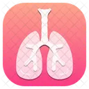 Lungs Organ Anatomy Icon