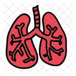 Lungs  Icon