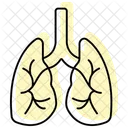 Lungs Color Shadow Thinline Icon Icon