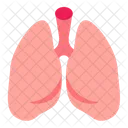 Lungs Organs Breath Icon