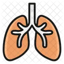 肺  アイコン