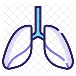 Lungs  Icon