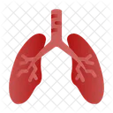 Lungs  Icon