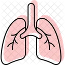 Lungs Medical Healthcare Icon