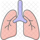 Lungs Medical Healthcare Icon