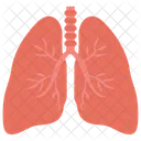 Respiratory Organ Lungs Asthma Icon