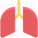Lungs Breathe Pulmonology Icon