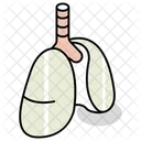 Lungs Pulmonary Respiration Icon