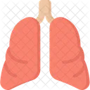 Lungs Organs Health Care Icon
