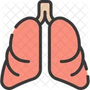 Lungs Organs Health Care Icon