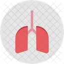 Lungs Breathe Pulmonology Icon