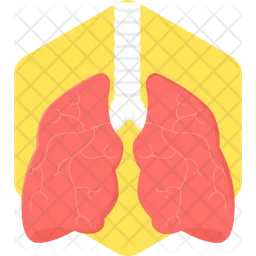 Lungs  Icon