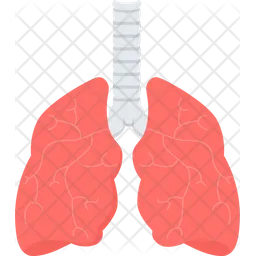 Lungs  Icon