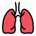 肺  アイコン