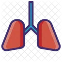 Lungs Organ Human Icon