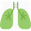 Lungs Lung Breath Icon