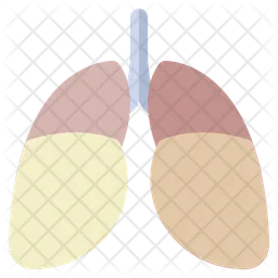 Lungs  Icon